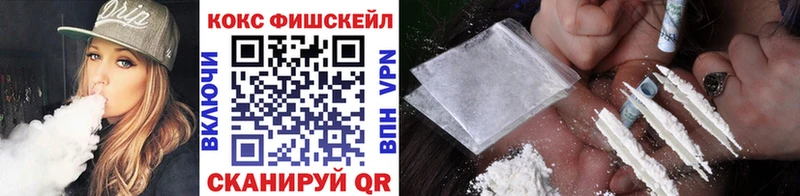 COCAIN FishScale  где можно купить наркотик  Купино 