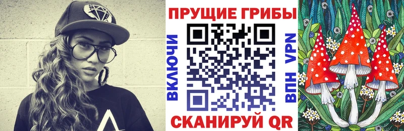 МЕГА ТОР  где продают наркотики  Купино  Псилоцибиновые грибы ЛСД 
